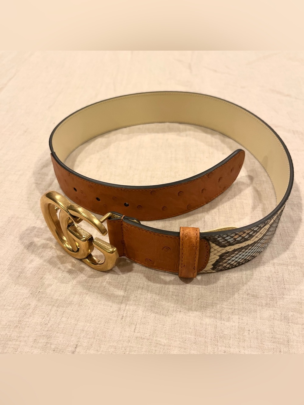Gucci $2400 Exotic Ostrich/Python GG Marmont Belt, Size 70, 400593 - Picture 6 of 15